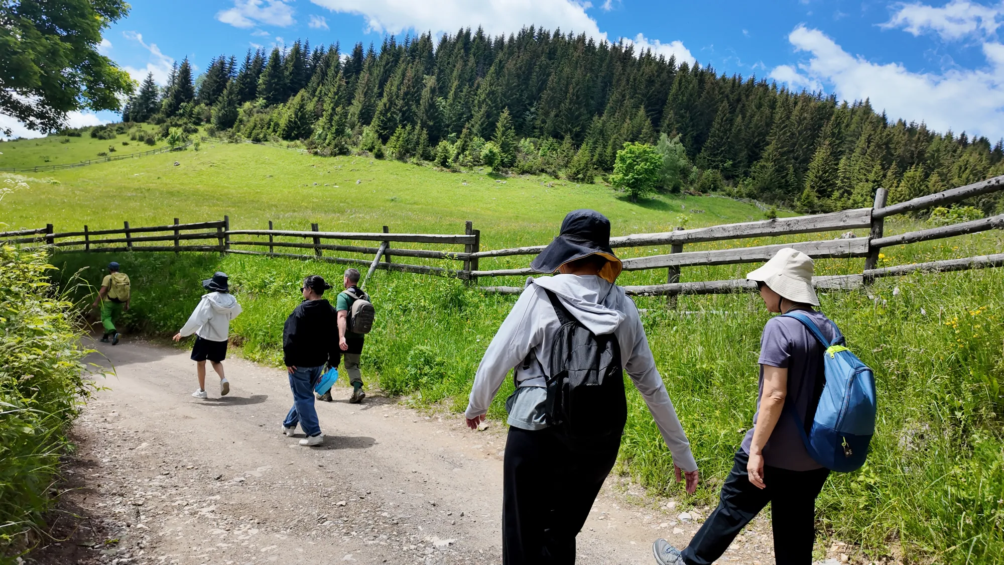 Travellers walking a mountain track between meadow and forest