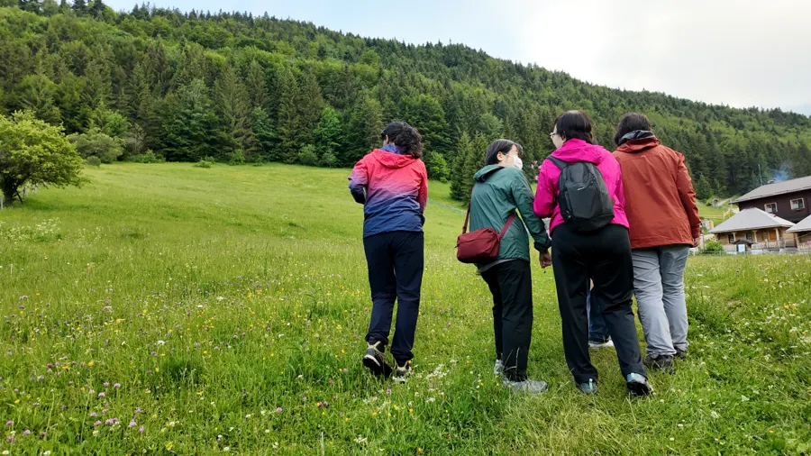 Travellers walking across the meadows near Moeciu, seen from behind