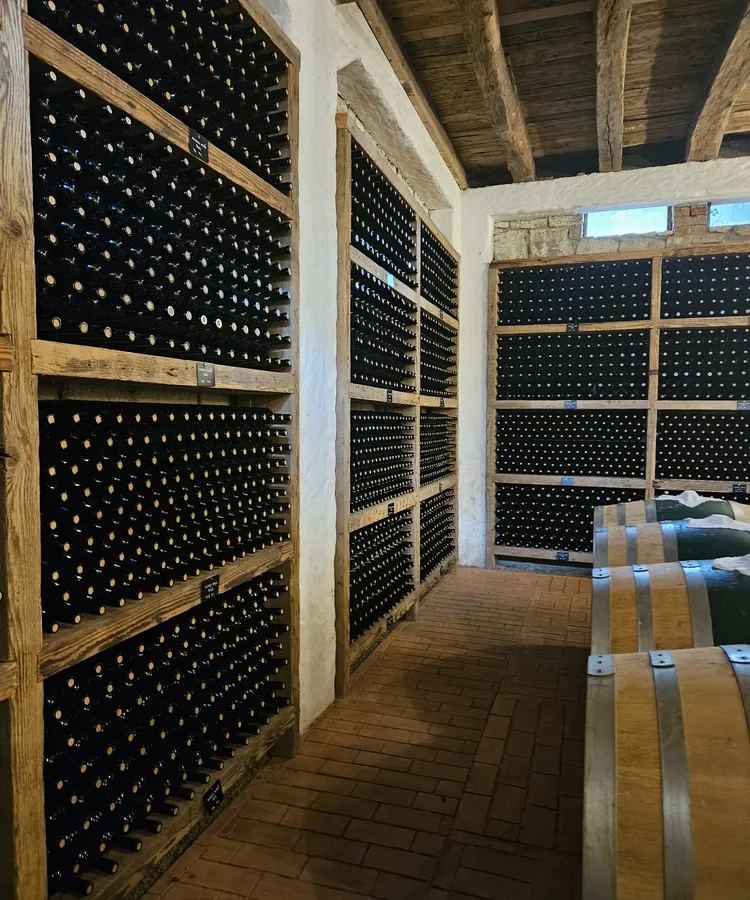 Dealu Mare Wine Region – more of the region