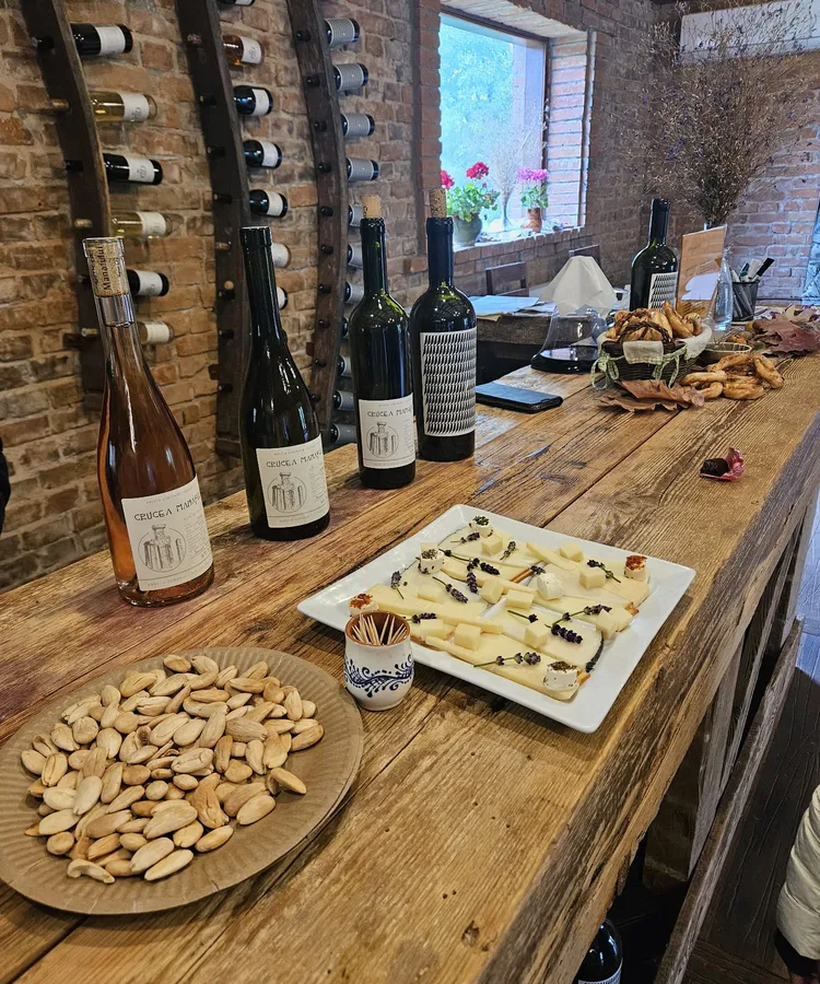 Local cheese, nuts and bottles of wine on a wooden tasting bar in a family winery