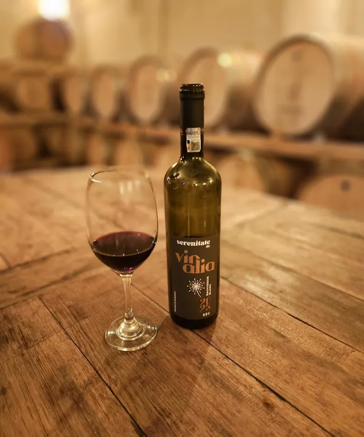 A glass and a bottle of red wine on a wooden table